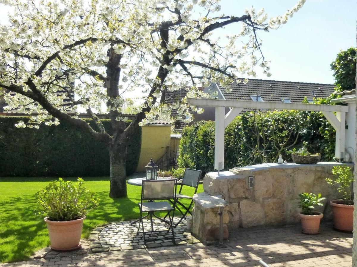 Ferienwohnung Kirschbluete Billigheim-Ingenheim Exterior photo